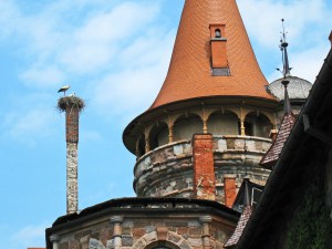 Cesvaine Castle, Latvia (2)